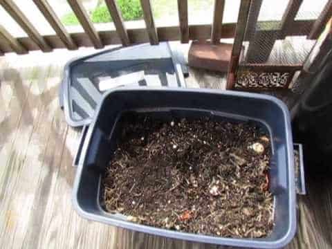 Compost sul balcone