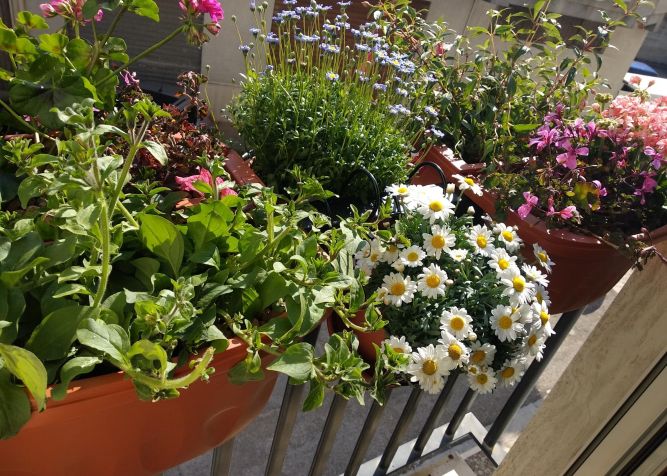 Fioriera da balcone per ringhiera regolabile