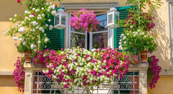 Piante e fiori in balcone