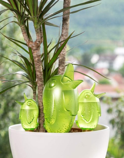 Irrigatori da vaso in plastica
