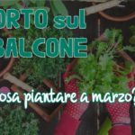 orto sul balcone, cosa piantare a marzo