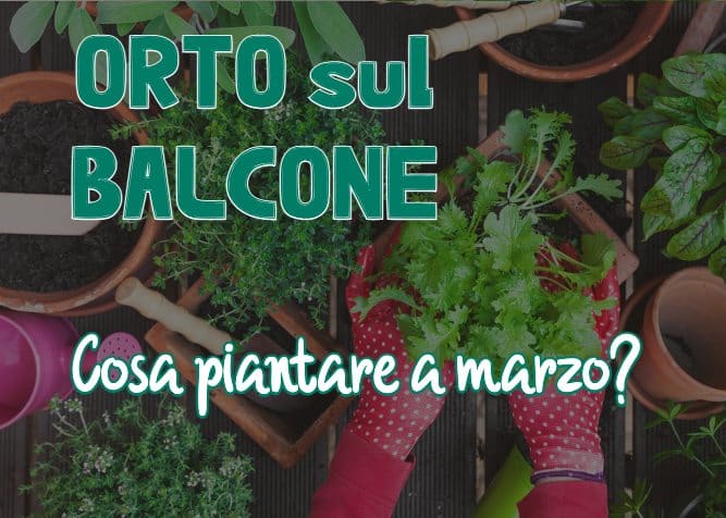 orto sul balcone, cosa piantare a marzo