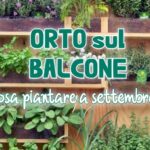 Orto sul balcone: cosa piantare a settembre?