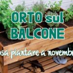 Orto sul balcone: cosa piantare a novembre