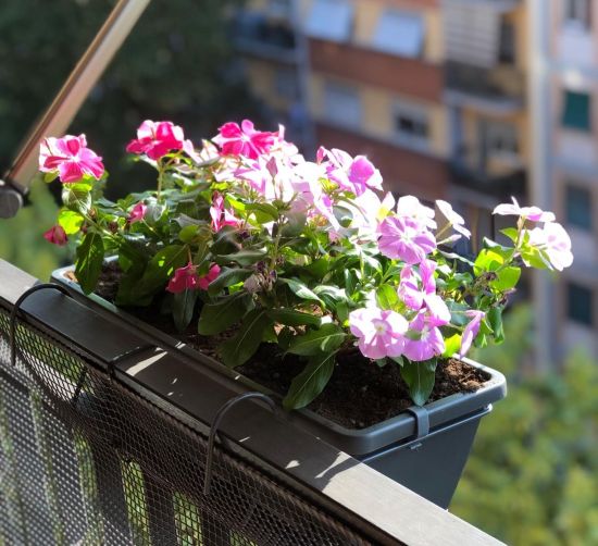 Portafioriera da balcone 