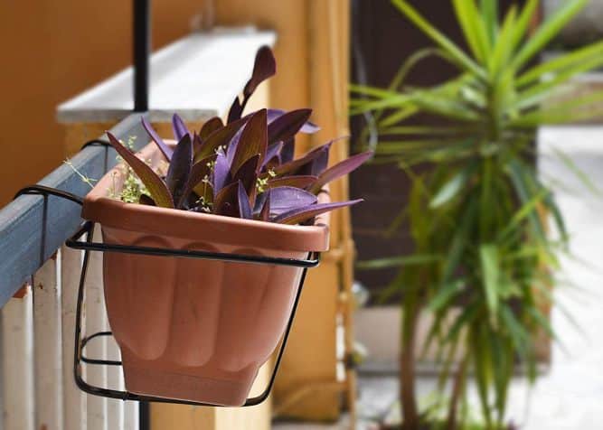 Vaso da fiori sospeso in metallo e ferro, contenitore per casa, balcone, giardino, fioriera – acquista a prezzi convenienti sul marketplace