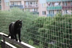 Rete per gatti da balcone